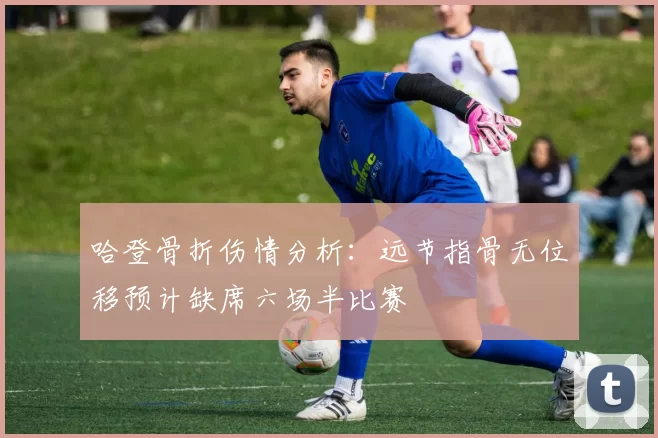 哈登骨折伤情分析：远节指骨无位移预计缺席六场半比赛