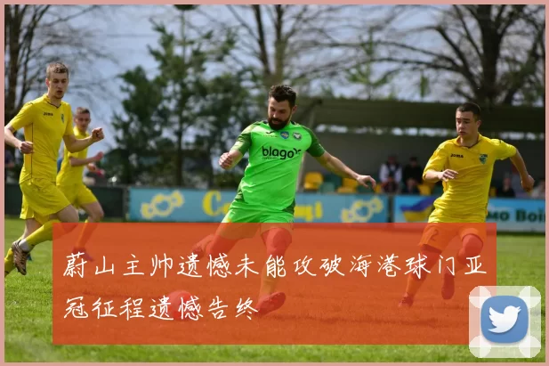 蔚山主帅遗憾未能攻破海港球门亚冠征程遗憾告终