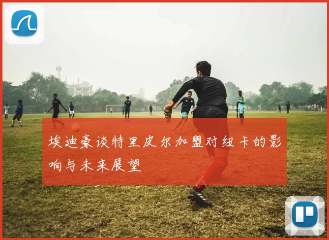 埃迪豪谈特里皮尔加盟对纽卡的影响与未来展望